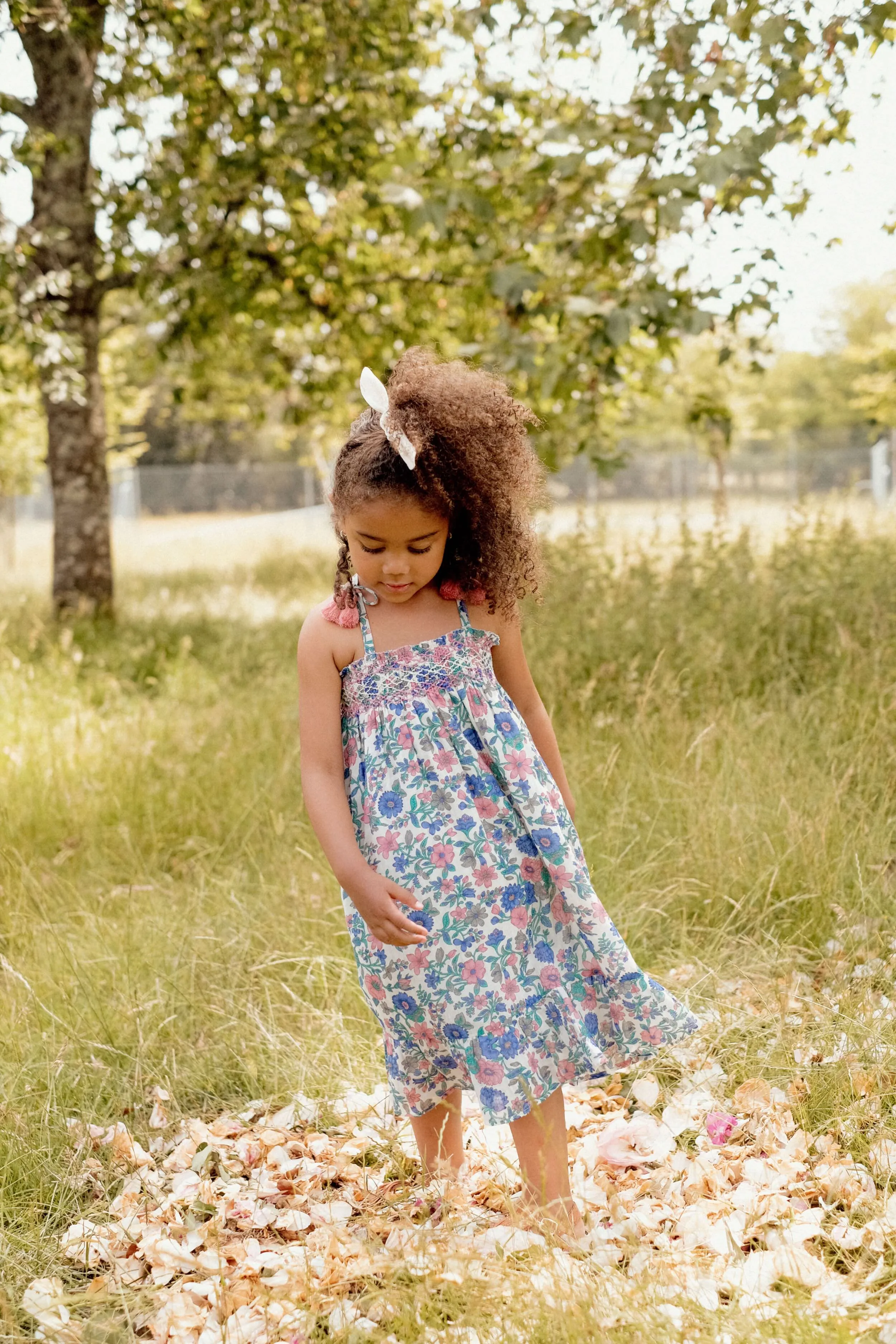 Blue Summer Meadow Marceline Dress