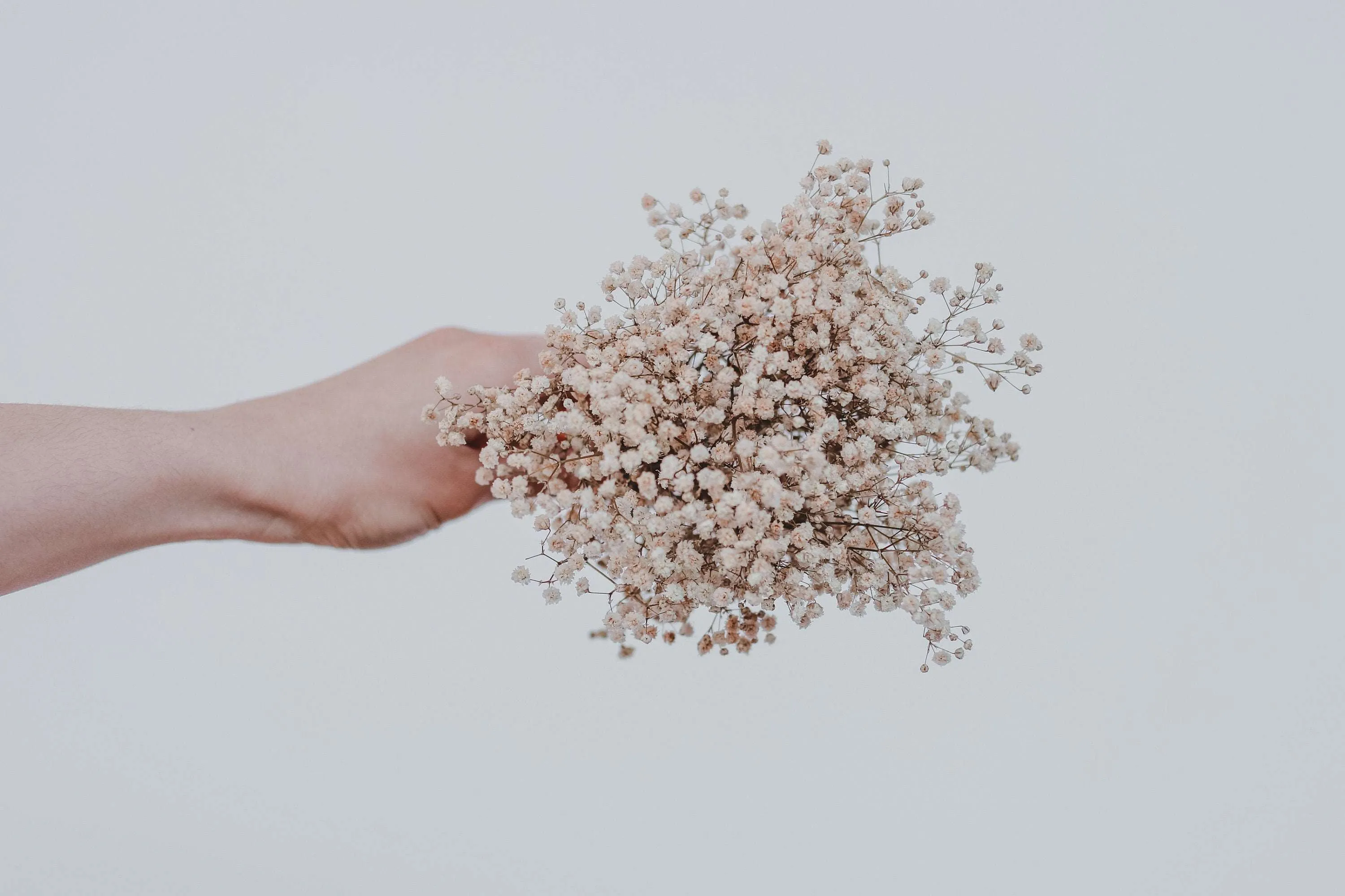 Dried Flowers Bridal Bouquet - Sandy Cream