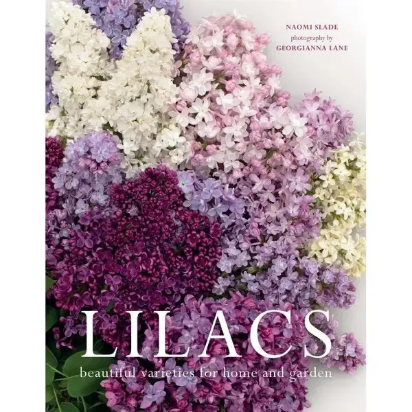 Lilacs