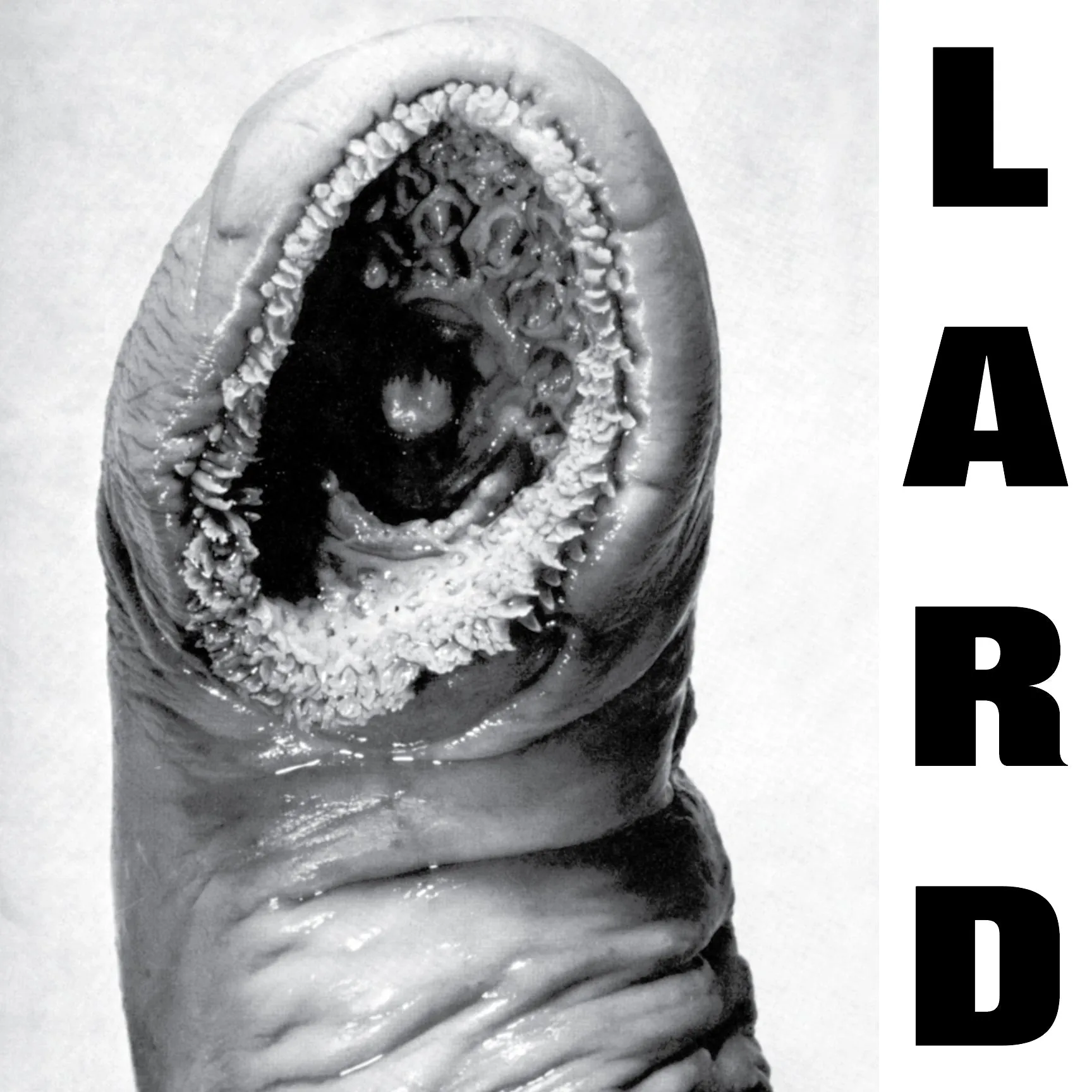 v72 LARD - "Power Of Lard" -*Pre-Order*